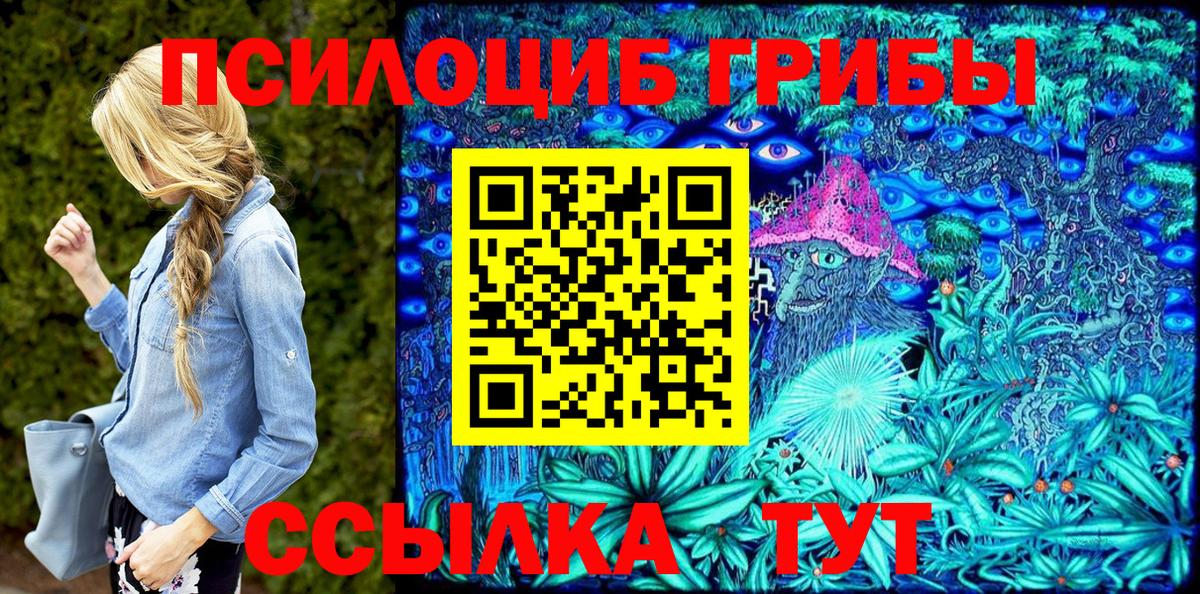 Псилоцибиновые грибы MAGIC MUSHROOMS  Галлюциногенные грибы мицелий  Белгород  Вход с VPN 
